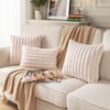 DEELAND Pack of 2,Double-Sided Faux Fur Plush Decorative Throw Pillow