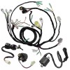 Caltric Wire Harness /Starter/ Ignition Key Switch, Coil Yamaha Warrior