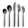 Berglander 20 Piece Titanium Black Plated Stainless Steel Flatware Set,