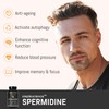 Ultra Pure SPERMIDINE | 60 Servings | 99% Pure Spermidine