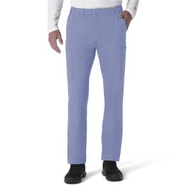 Carhartt mens Men's Force Straight Leg Pant, Ceil Blue, Small Short