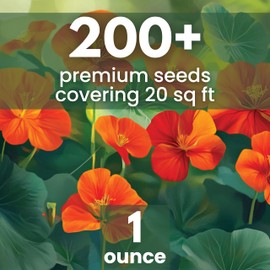 Nasturtium majus - Large 1 Ounce Packet - 200 Flower Seeds for Planting - Tropaeolum majus