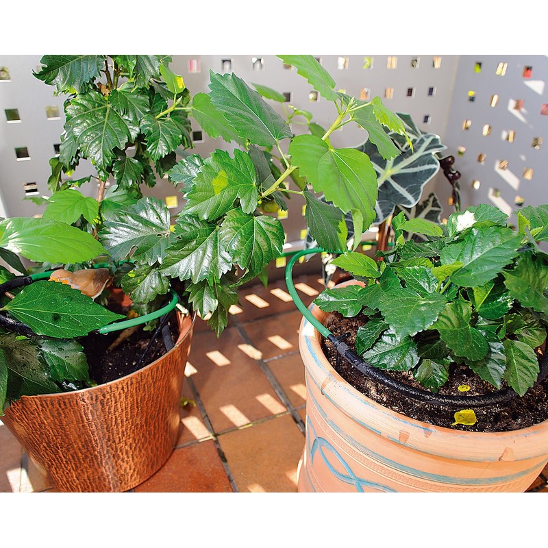 Royal Gardineer Mini Irrigation System: Plant Irrigation System for Balcony