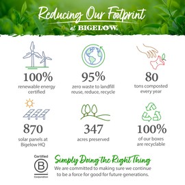 Bigelow Tea Assortment, Green, Black, and Herbal Teas with English Teatime, Constant Comment, Lemon Lift, Earl Grey, Green, Cozy Chamomile, Orange Spice, Mint Medley, 64 Tea Bags (Pack of 1)