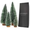 Desktop Miniature Pine Tree Tabletop Christmas Tree Small Pine Tree