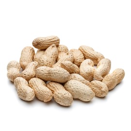 Home and Country USA Wildlife Feed Raw Peanuts (12 LB Pail) - Our in-Shell Peanuts are The Ideal Critter Food to Attract Squirrels, Birds, Deer and Other Diverse Wildlife.