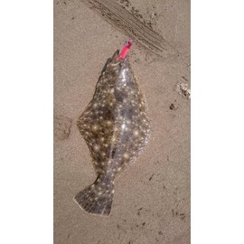 Duo Lure bi-tiuxo-ka- haurusyaddo Hudl G S006 