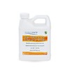 Oceancare Products High Performance Enhancing Sealer - Quart