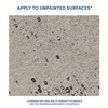 Rainguard Water Sealers Concrete Sealer, Penetrating Protection Against Water and