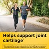 Nature Made Glucosamine Chondroitin Complex with MSM, Dietary Supplement for