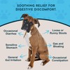 Animal Essentials Slippery Elm - Herbal Extract for Dogs and