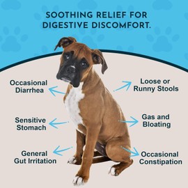 Animal Essentials Slippery Elm - Herbal Extract for Dogs and Cats, Promotes Healthy Digestion, Bowel Function, Certified Organic Herbs, All Natural, Respiratory Health, Liquid Formula - 2 Fl Oz