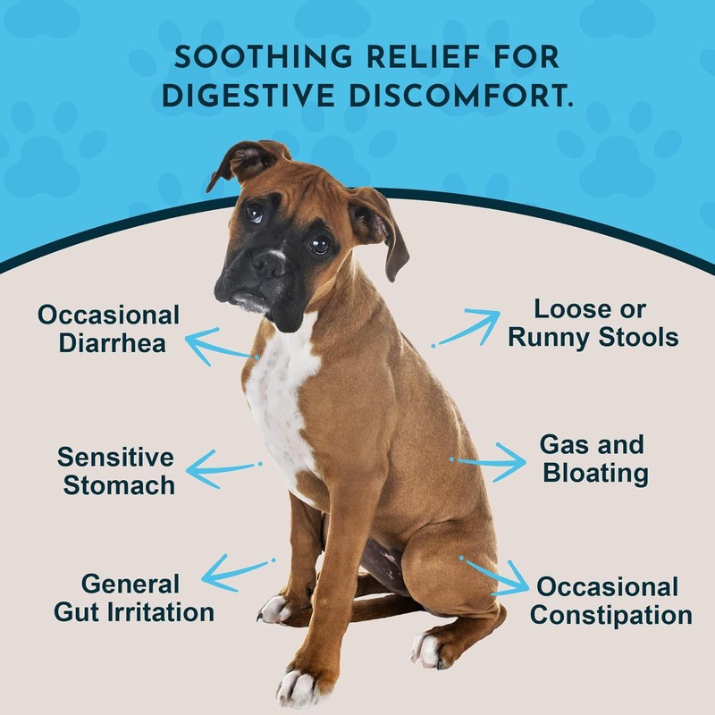 Animal Essentials Slippery Elm - Herbal Extract for Dogs and
