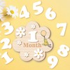 Baby Shower Decorations-Baby Monthly Milestone Signs-Baby Announcement Sign- Monthly Baby