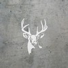 Decal Stickers of Whitetail Buck Deer Stencil 2 (White) (Set