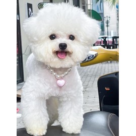 Elegant Heart-Shaped Pearl Dog Necklace for for Small Dogs, Large Dogs, and Cats -Fashion Pet Necklace for Everyday Wear or Special Occasions Parties(11.81 inches - 14.17 inches)