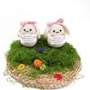 Caiyjhao 2psc Mini Crochet Rabbit, Cute Creative Knitting Rabbit, Rabbit