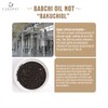 CARAWAY Aceite de Bakuchiol - 50 Ml | Extracto de