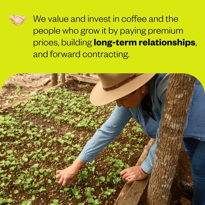 Counter Culture Coffee - Whole Bean Coffee - Multi-Pack -