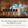 P&J Trading Gentlemen's | Juego de 6 aceites aromáticos |