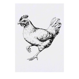 Azeeda 'Hühnerrennen' Temporäres Tattoo - Hautfreundlicher & Ungiftiger Abziehbild · Wasserfest (TO00077075)