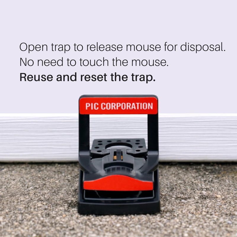 PIC Simple Set Mouse Traps, 2 Count (Pack of 6)