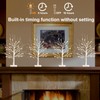 Birch Tree with LED Lights Set of 4, Lighted Birch