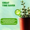 WHTCHSU 2 Pack Small Self-Plant Watering Globes – Automatic Plant