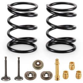 Racing 18lb Valve Springs Kit for Predator 212cc 196cc 224cc Non Hemi Honda Clone (GX160/GX200) 6.5HP OHV Engine Coleman CT200U/BT200X Mini Bike Performance Parts