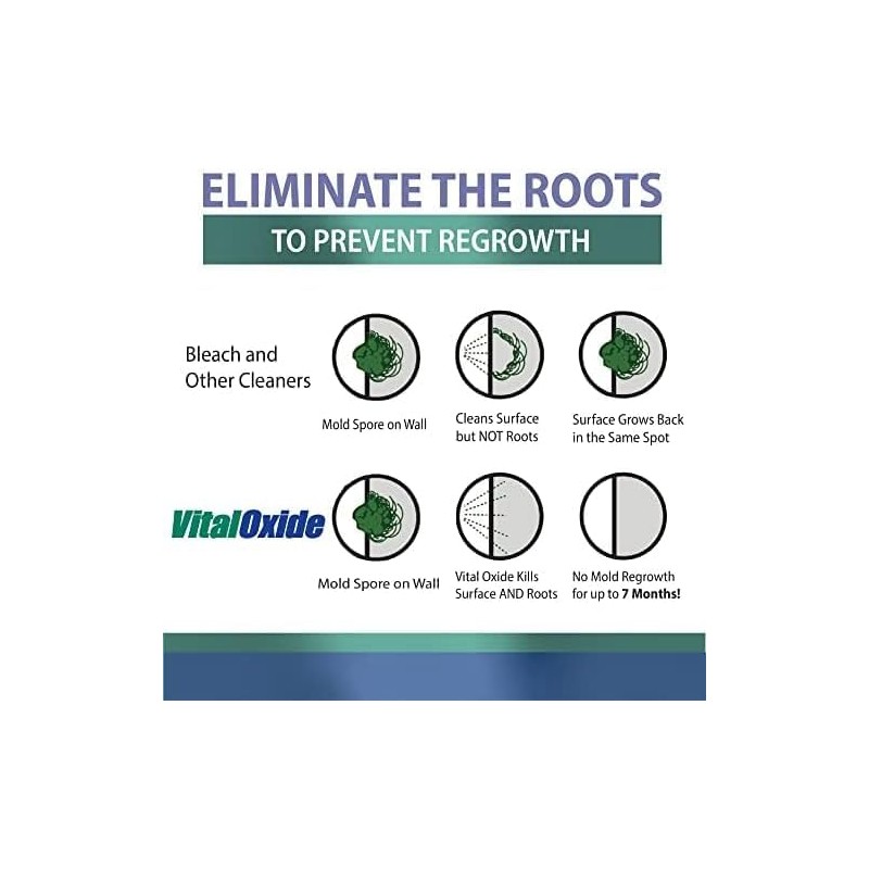 Vital Oxide: Disinfectant, Deodorizer, Cleaner.32fl.oz