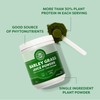 VIMERGY Vimergy Barley Grass Juice Powder, 62 Servings C Source