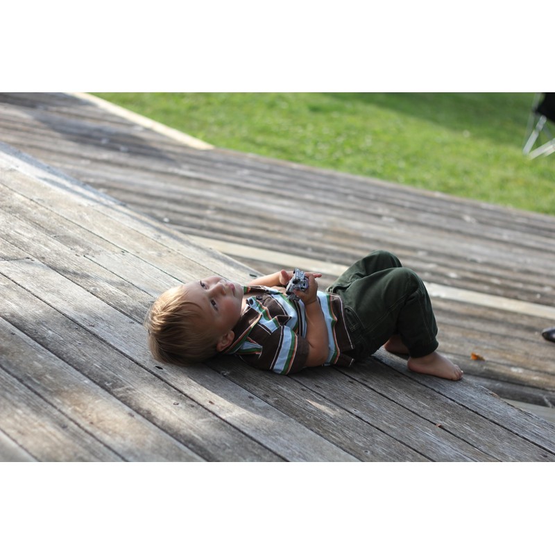 Tall Earth Eco-Safe Wood Treatment, Non-Toxic Stain, Silver Gray Patina,