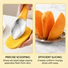 2pcs Mango Tools,Fruit Preparation Set for Daily Kitchen Use,Fruit Tool