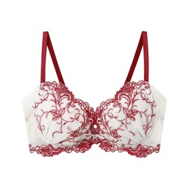 Amphipolis BYK308 Women's Bra, High Armpits, Reduces Back Steps and Underarms, Back Smoothing, Fits Up to G Cups, Large Sizes, Bra, BE