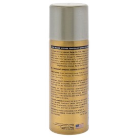 Salon Grafix Salon Grafix High Beams Intense Temporary Spray - Silver for Unisex - 2.7 oz Hair Color