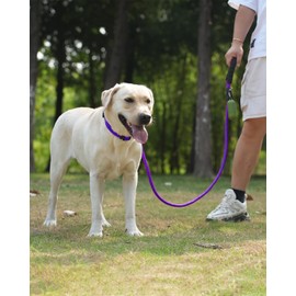 Joytale Reflective Dog Leash, Heavy Duty Nylon Rope with Poop Bag Holder, Highly Reflective Threads Leashes for Medium Large Dogs, Puple, 6'×1/2''