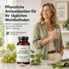 Multivitamin Complex Plus All-in-One, the unique quality blend of the
