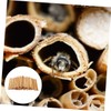 CIYODO 50pcs Bee Tubes for Beekeepers Natural Phragmite Habitat Easy