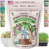 Seedboy Organic Non-GMO Sprouting Seeds, Immune System Booster - USA