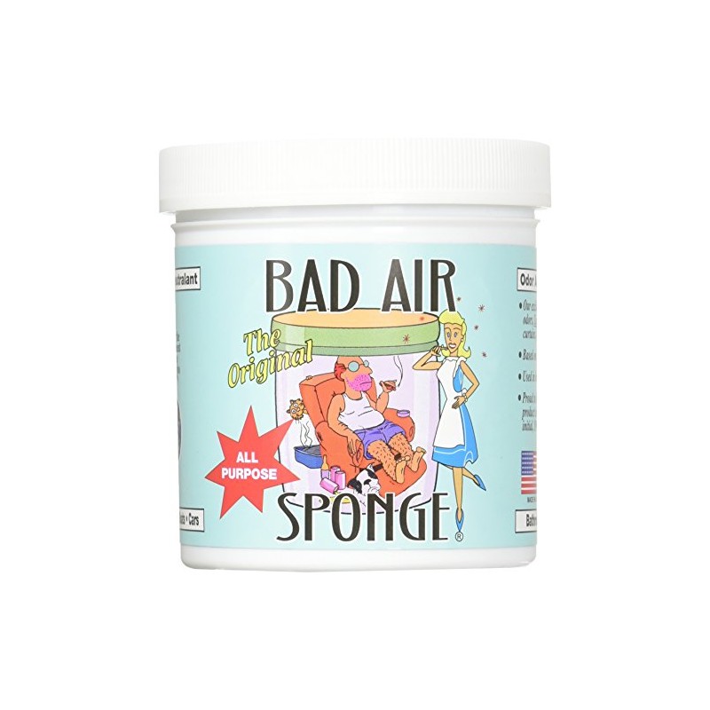 Bad Air Sponge