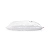 Compactor RAN8285 Set of 2 Extra Flat Extra Flat Space