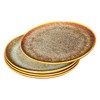 jinsongdafa Ceramic Dinner Plates Dish Set,Set of 4,for Lunch snacks