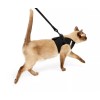 TSA Fast Pass Cat or Dog Leash & Vest Harness