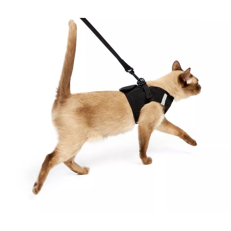 TSA Fast Pass Cat or Dog Leash & Vest Harness