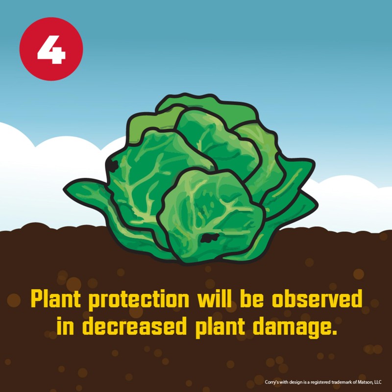 Corry's 100511427 Slug and Snail Killer, 1.75 lb