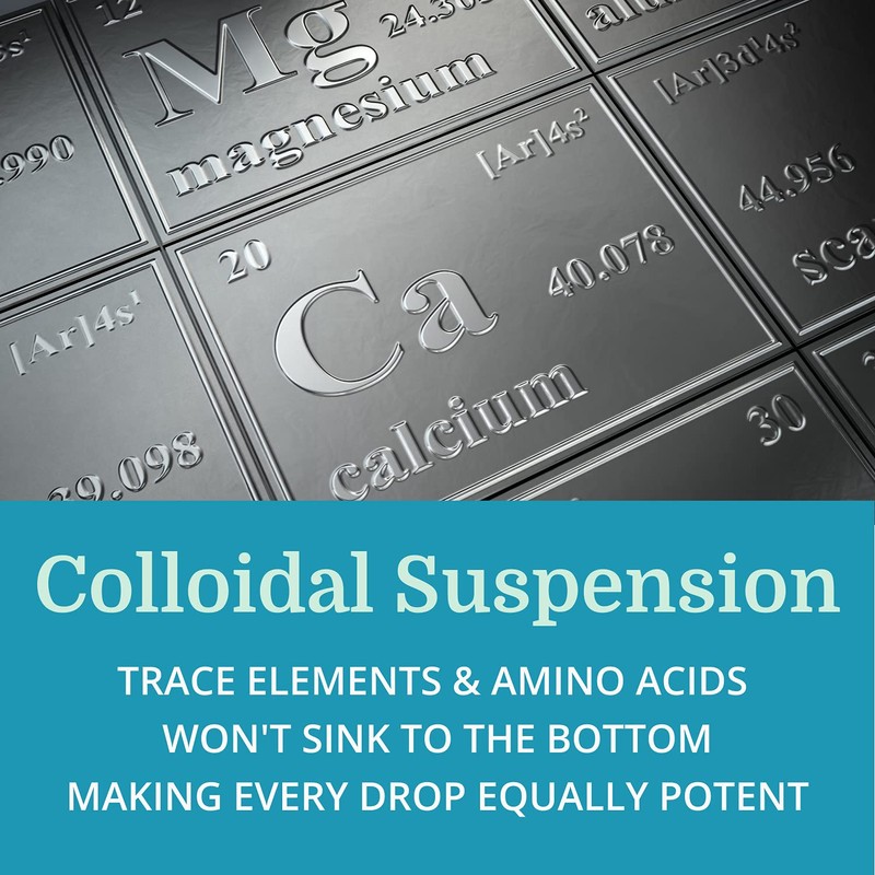 Morter Trace Minerals in Colloidal Suspension — Morter HealthSystem Best