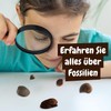 Science4you Fossil Dig Kit - Fossils and Paleontology with This