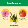 Miracle-Gro Shake 'N Feed All Purpose Plant Food, For In-Ground