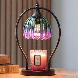 GOODBUY Electric Candle Warmer Lamp with Timer: Scented Candle Warmer for Decor Home Room - Dimmable Lamp Candle Warmer with 2 Bulbs Christmas Gift for Mom Women House Warming Gifts New Home