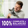 Purina Cat Chow Gentle Sensitive Stomach and Skin Dry Cat